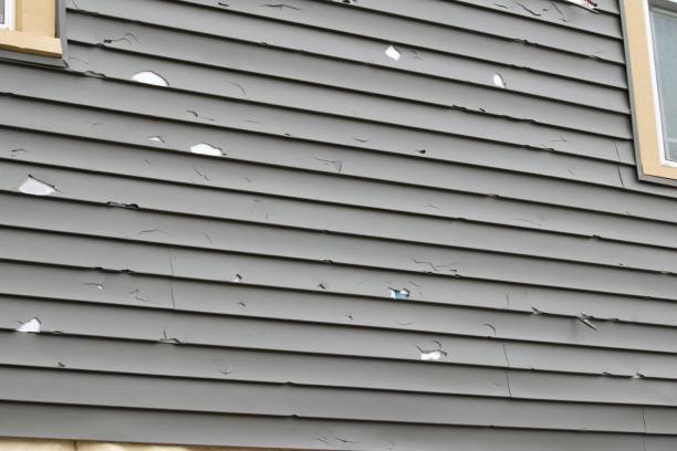 Best Steel Siding Installation  in Tracy, CA